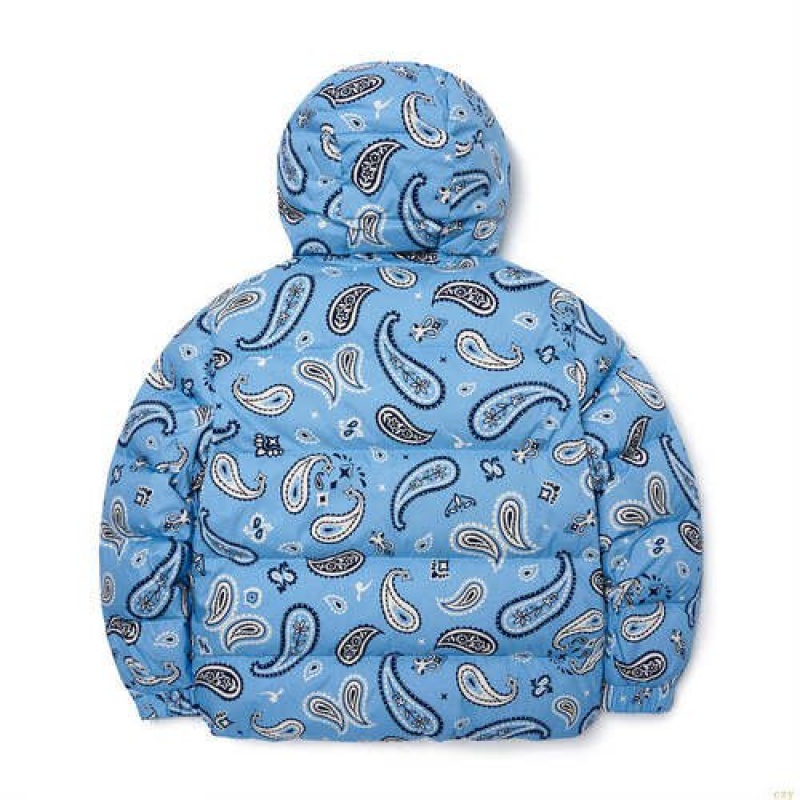 Winter Jackets MLB Paisley Down La Dodgers Vetement Bleu | 4593CHGWA